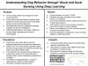 quadchart_Understanding Dog Behavior through Visual and Aural Sensing Using Deep Learning.jpg